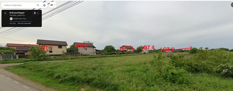 Domnesti, Ciutaci.