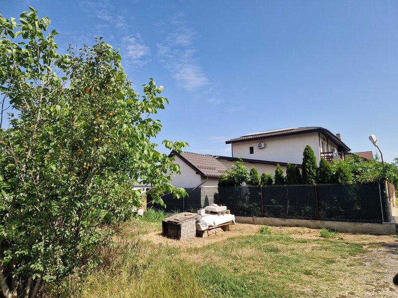 Domnesti, Ciutaci.