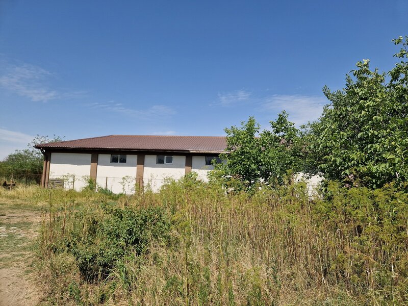Domnesti, Ciutaci.
